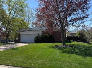 Diane E.'s grass maintenance service result