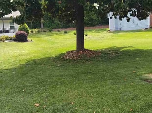 Art R.'s lawn care service result
