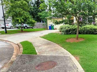 Adam C.'s grass maintenance service result