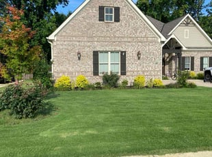 Murray J.'s turf care service result