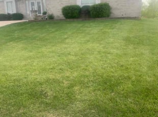 Lawrence S.'s turf maintenance service result