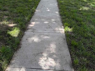 Amina A.'s lawn maintenance service result