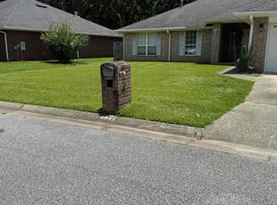 Tom S.'s grass maintenance service result