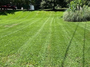 Janet P.'s lawn service service result