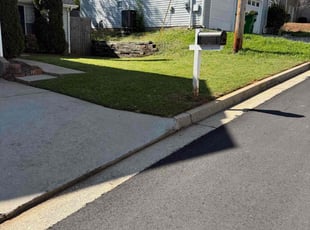 Shane T.'s turf care service result