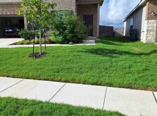 Chad H.'s grass maintenance service result