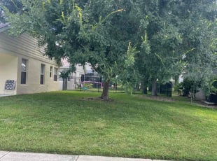 Rebecca G.'s grass cutting service result