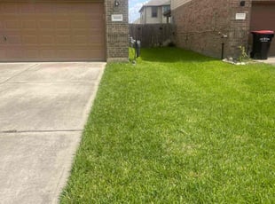 Jessica P.'s lawn maintenance service result