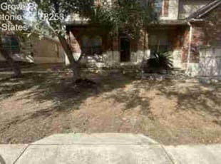 Cassandra V.'s Leaf Removal service result