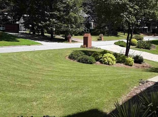 Cameron B.'s Bush Trimming service result