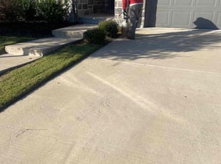 Paula B.'s Flower Bed Weeding service result