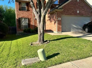 Edward A.'s landscaping service result