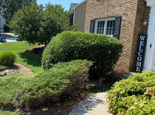 Michelle H.'s Bush Trimming service result