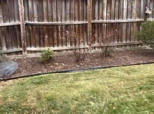 Diana H.'s Bush Trimming service result