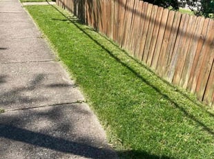 Susan S.'s lawn maintenance service result