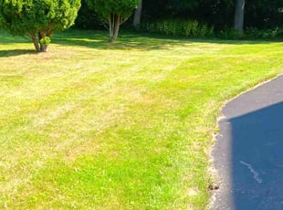 Victoria W.'s lawn service service result