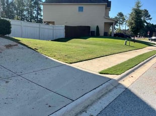 Elizabeth O.'s lawn care service result