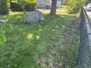 Lee M.'s grass cutting service result