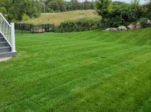 Sreenivas S.'s turf care service result