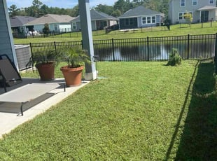 Erica C.'s turf care service result