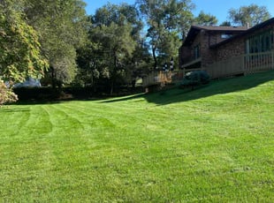 Jay O.'s grass maintenance service result