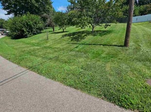 Corina C.'s grass cutting service result