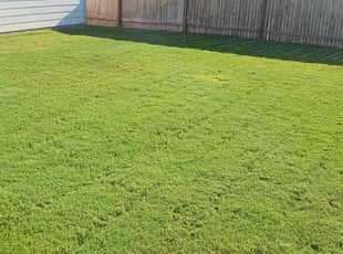 Janice B.'s lawn care services service result
