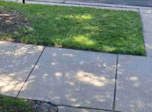 Toria d.'s lawn maintenance service result