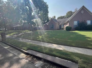 Catrina H.'s grass cutting service result
