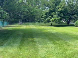 Vincent W.'s lawn service service result