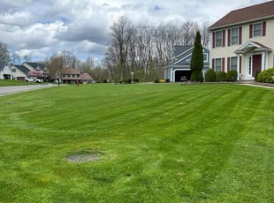 Celestic J.'s turf care service result