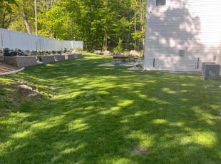 Ana S.'s turf maintenance service result