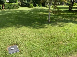 Andre I.'s grass cutting service result