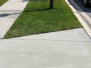 Christian F.'s grass cutting service result