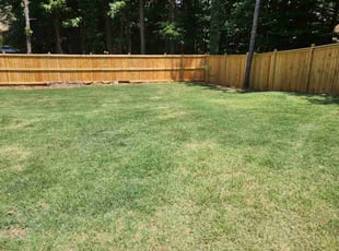 Colin L.'s lawn care services service result