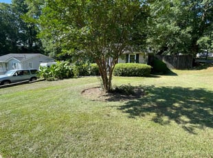 Nate T.'s lawn care services service result