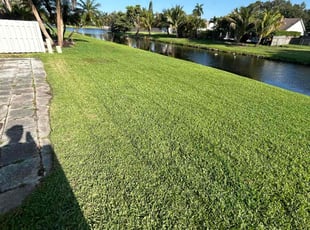 Laura B.'s lawn care services service result