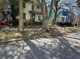 Marcia S.'s lawn care service result
