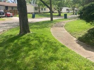 Nancy B.'s lawn care service result