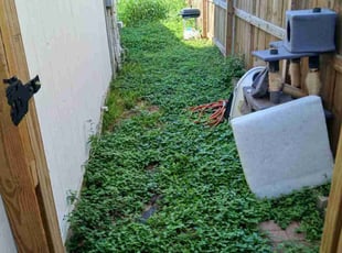 Jason M.'s grass cutting service result