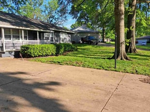 Tammie D.'s Leaf Removal service result