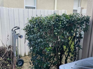 Elinor C.'s Other service result