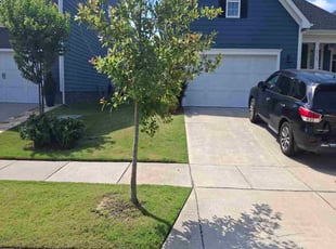 Goutham S.'s lawn care services service result