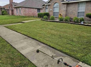 London R.'s grass cutting service result