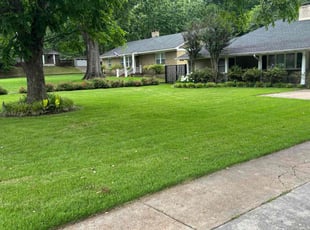 Preitus M.'s lawn care service result