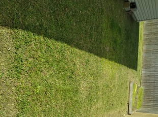 Kevin F.'s Bush Trimming service result
