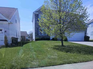 Beth A.'s grass cutting service result