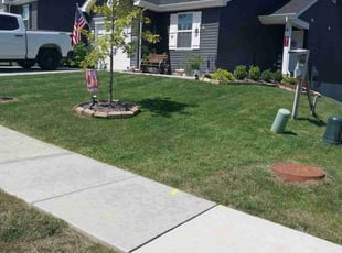 Daniel G.'s grass cutting service result