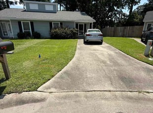 Carlito C.'s turf care service result