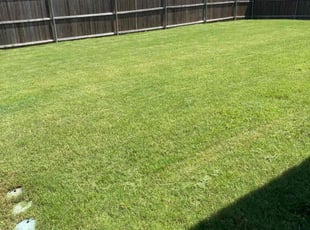 Ariel G.'s turf maintenance service result